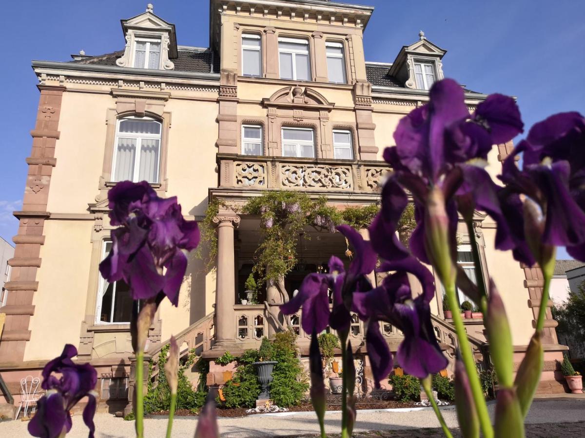 Hotel Castelnau Colmar Exterior foto