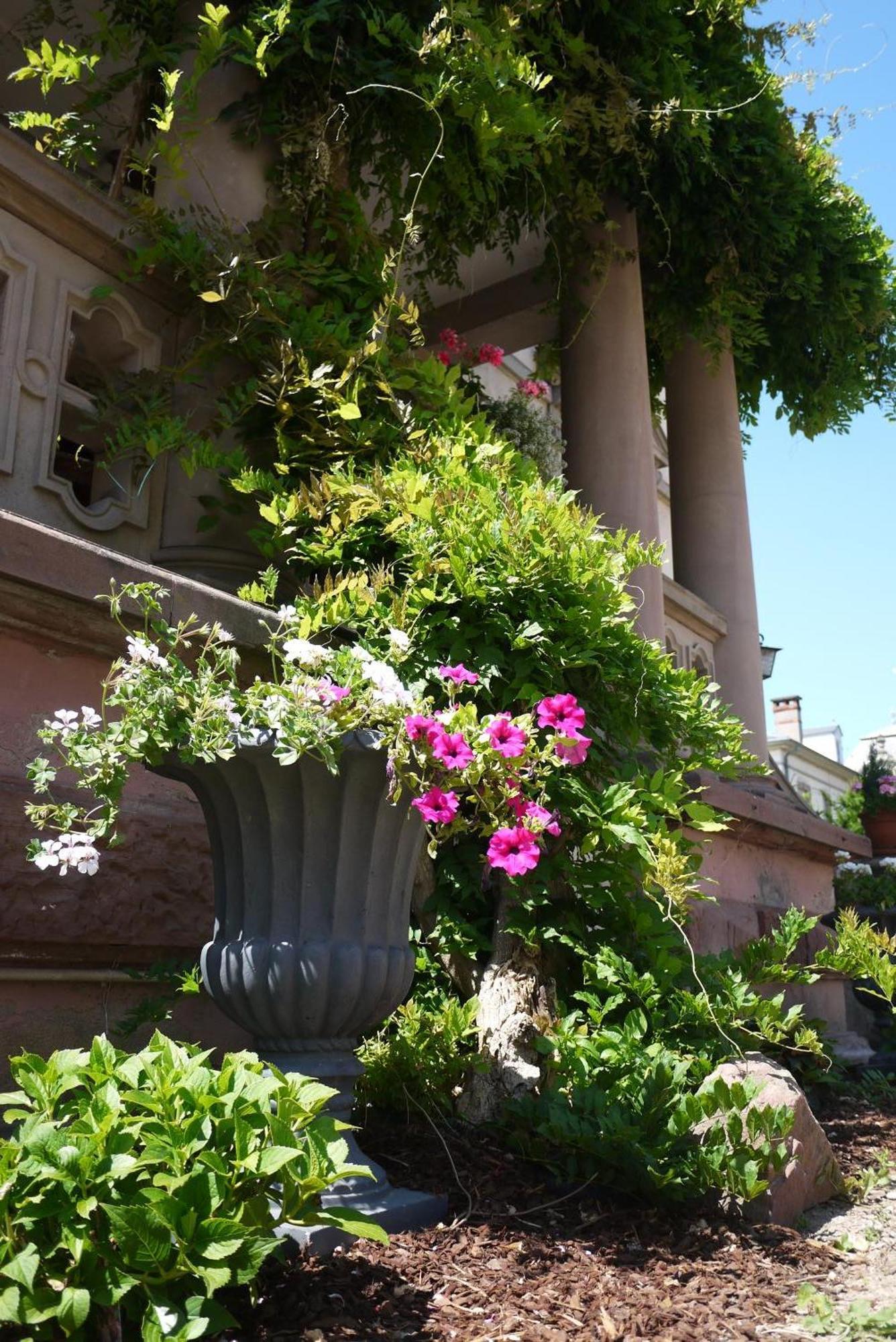 Hotel Castelnau Colmar Exterior foto